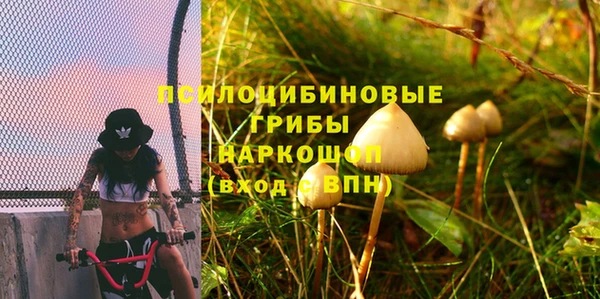 тгк Балахна